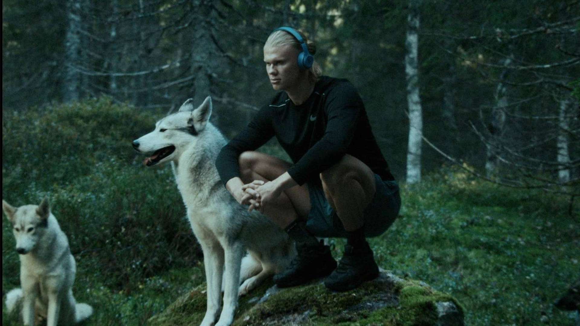 九游娱乐体育分析：赵睿回归广东？朱芳雨官宣感情深厚